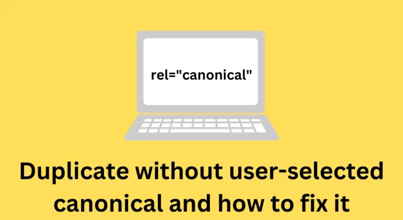 How to fix Duplicate without user-selected canonical warning in Search Console